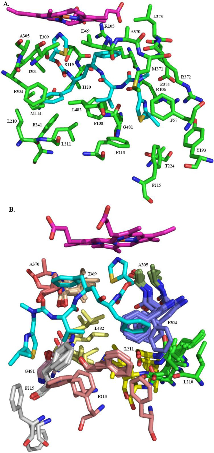 Fig. 25