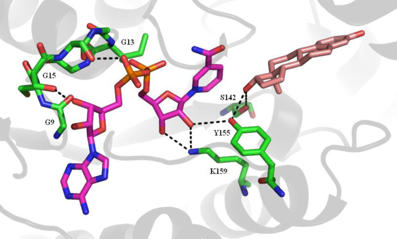 Fig. 17