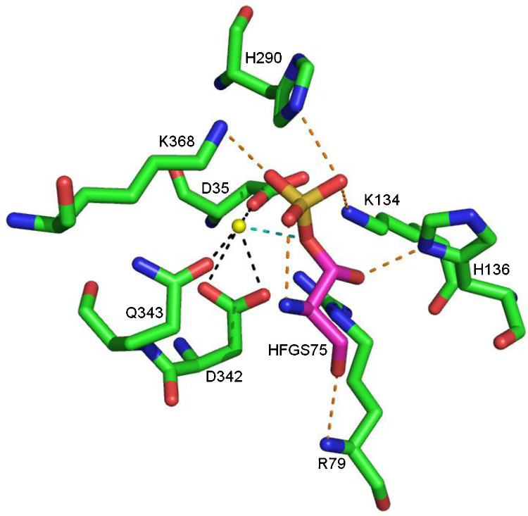 Fig. 10