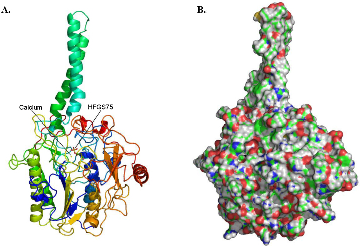 Fig. 8