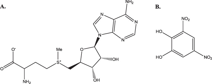 Fig. 27