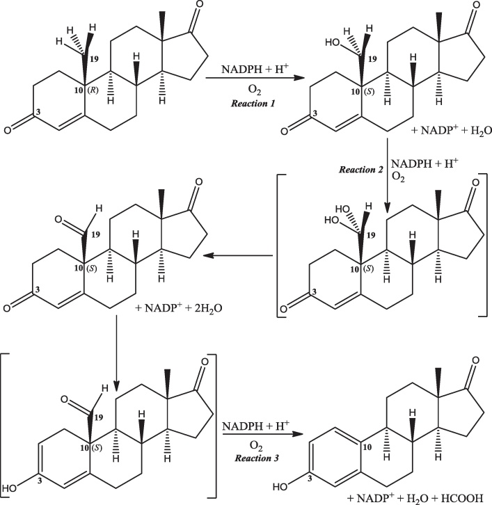 Fig. 21