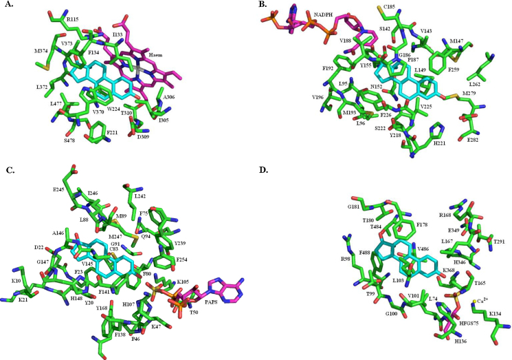 Fig. 30