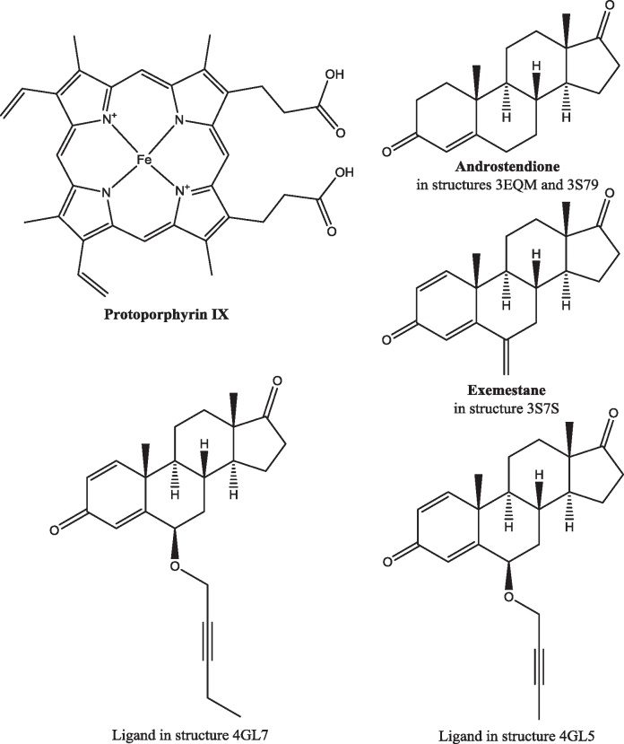 Fig. 19