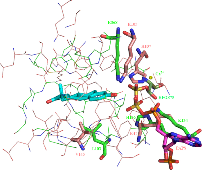 Fig. 31