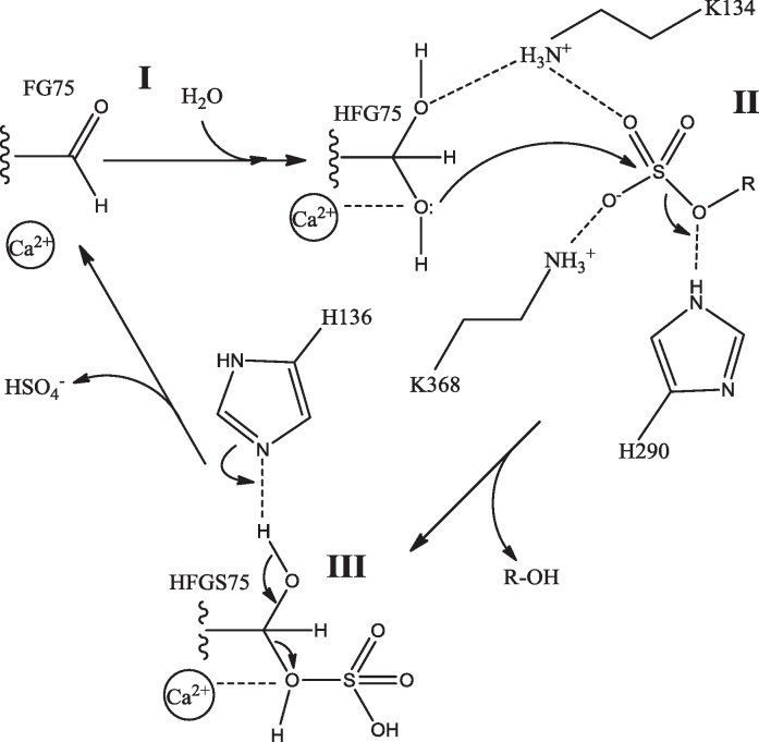 Fig. 11