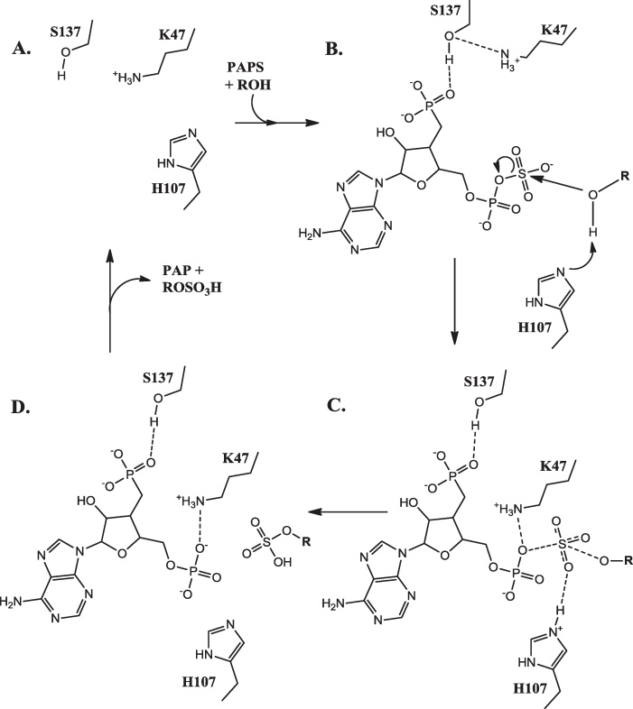 Fig. 6