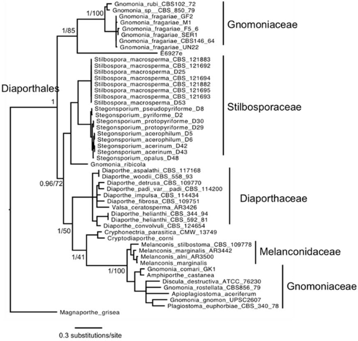 Figure 5: