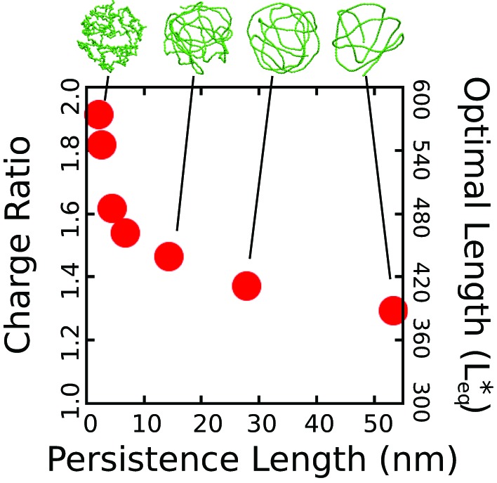 Figure 3—figure supplement 1.