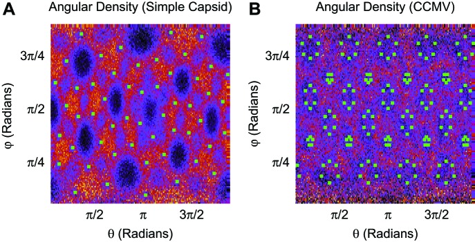 Figure 5—figure supplement 2.