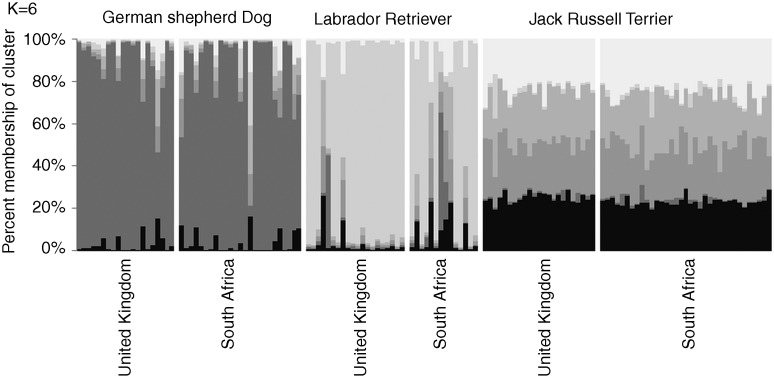 FIG 1: