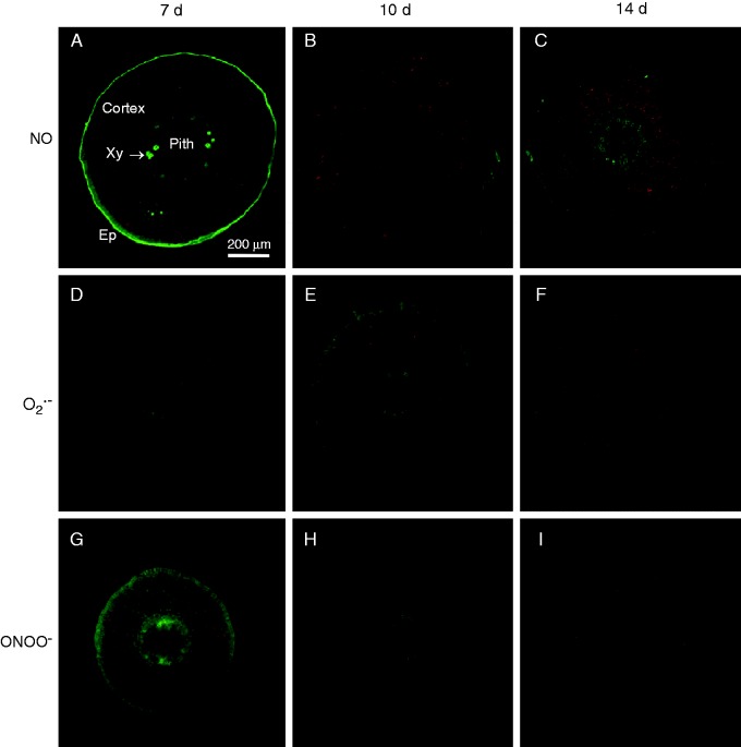 Fig. 8.