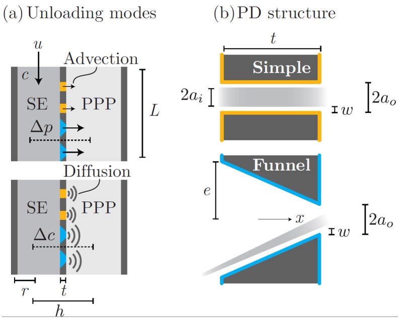 Appendix 1—figure 1.