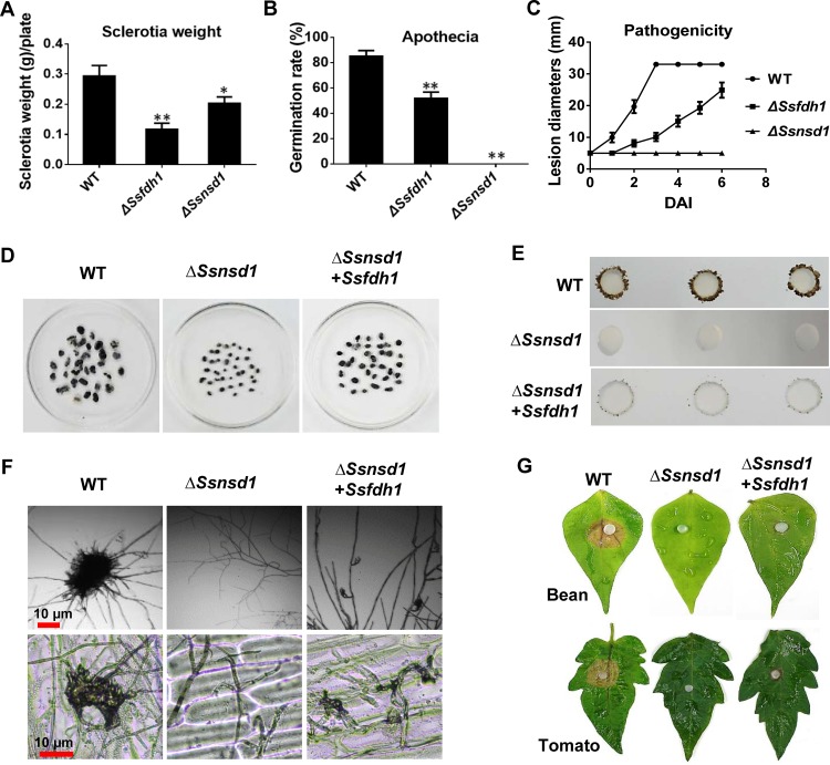 FIG 4