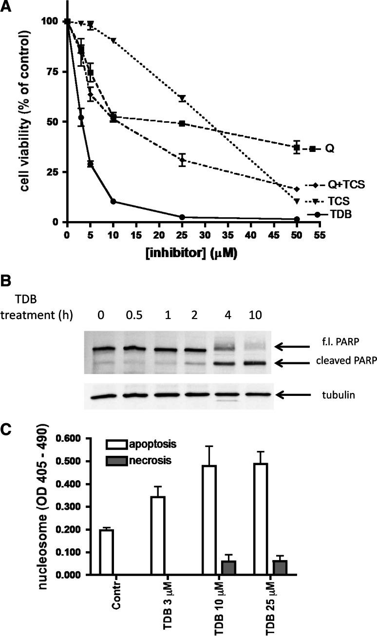 Fig. 6