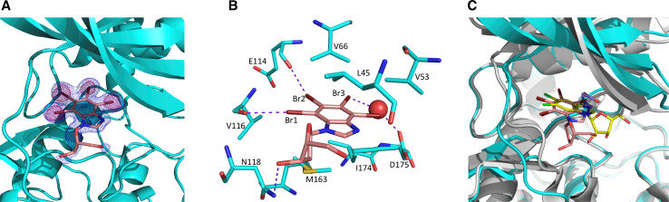 Fig. 2