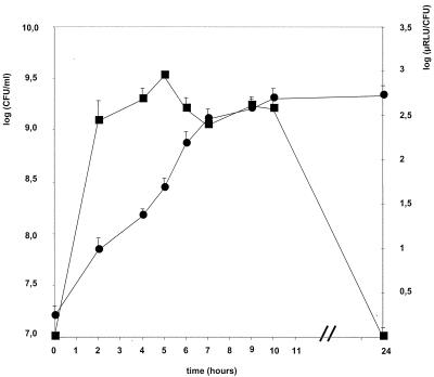 FIG. 1.