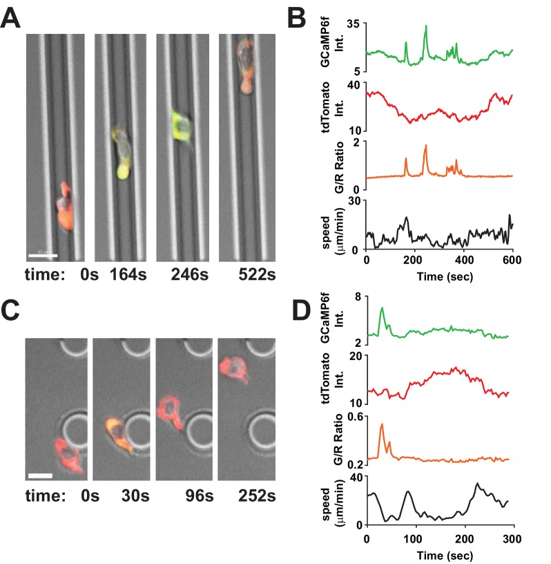 Figure 4.