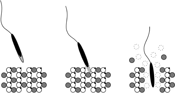 Fig. 4.