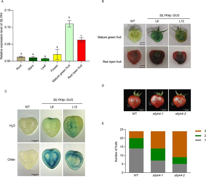 Figure 4