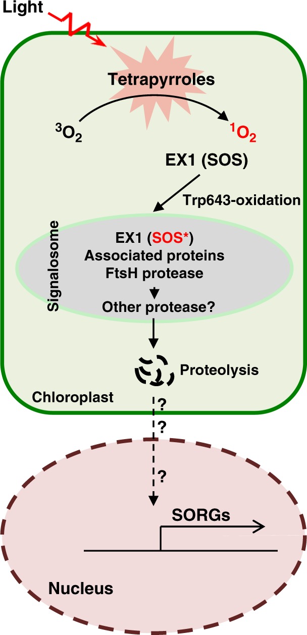 Fig. 6