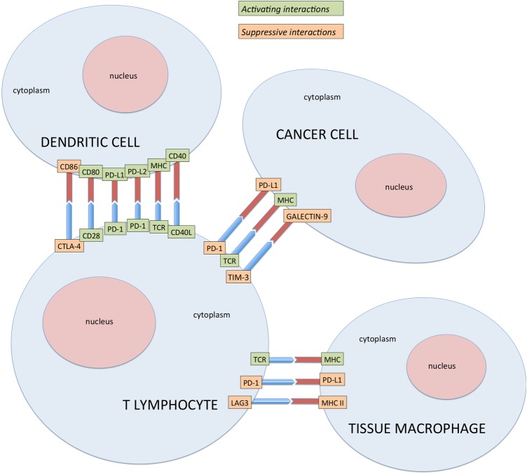 Figure 2