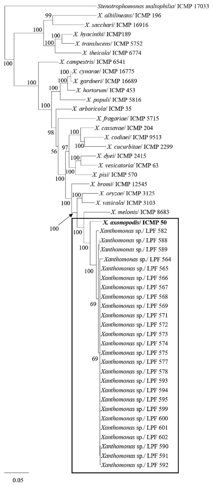 Fig. 3