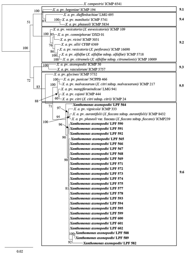 Fig. 4