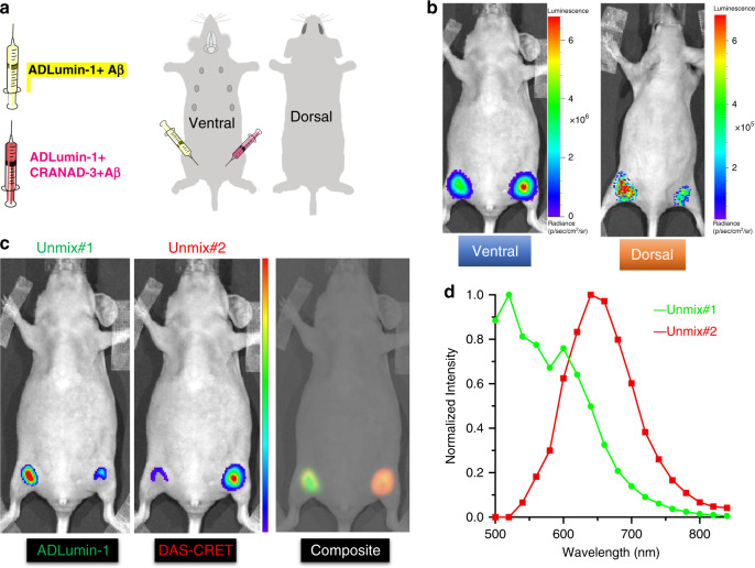 Fig. 8