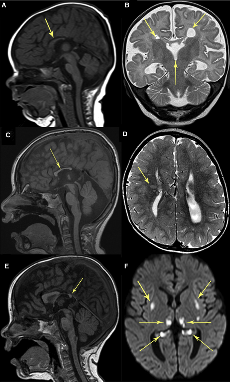 Figure 1