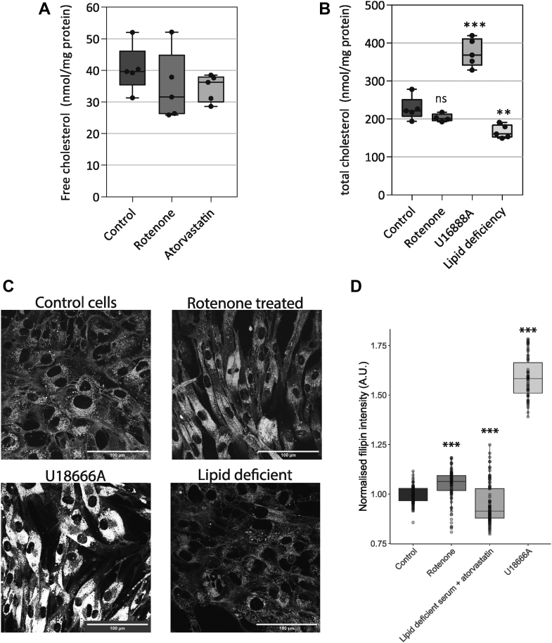 Figure 4