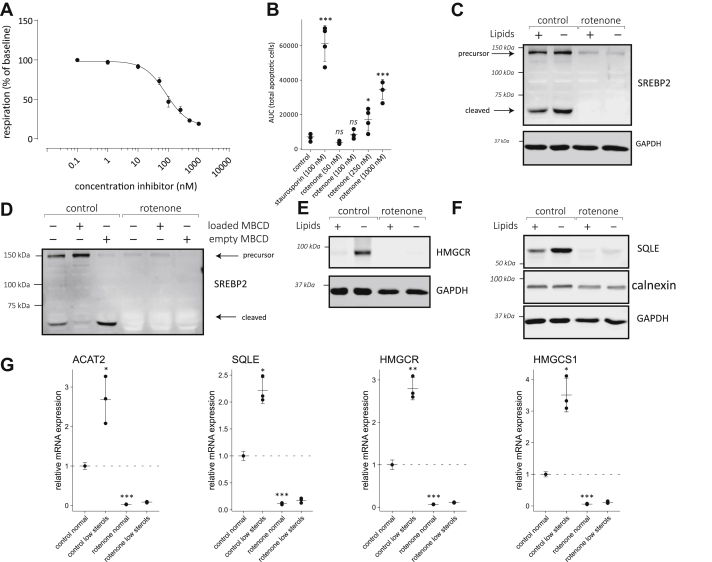 Figure 6