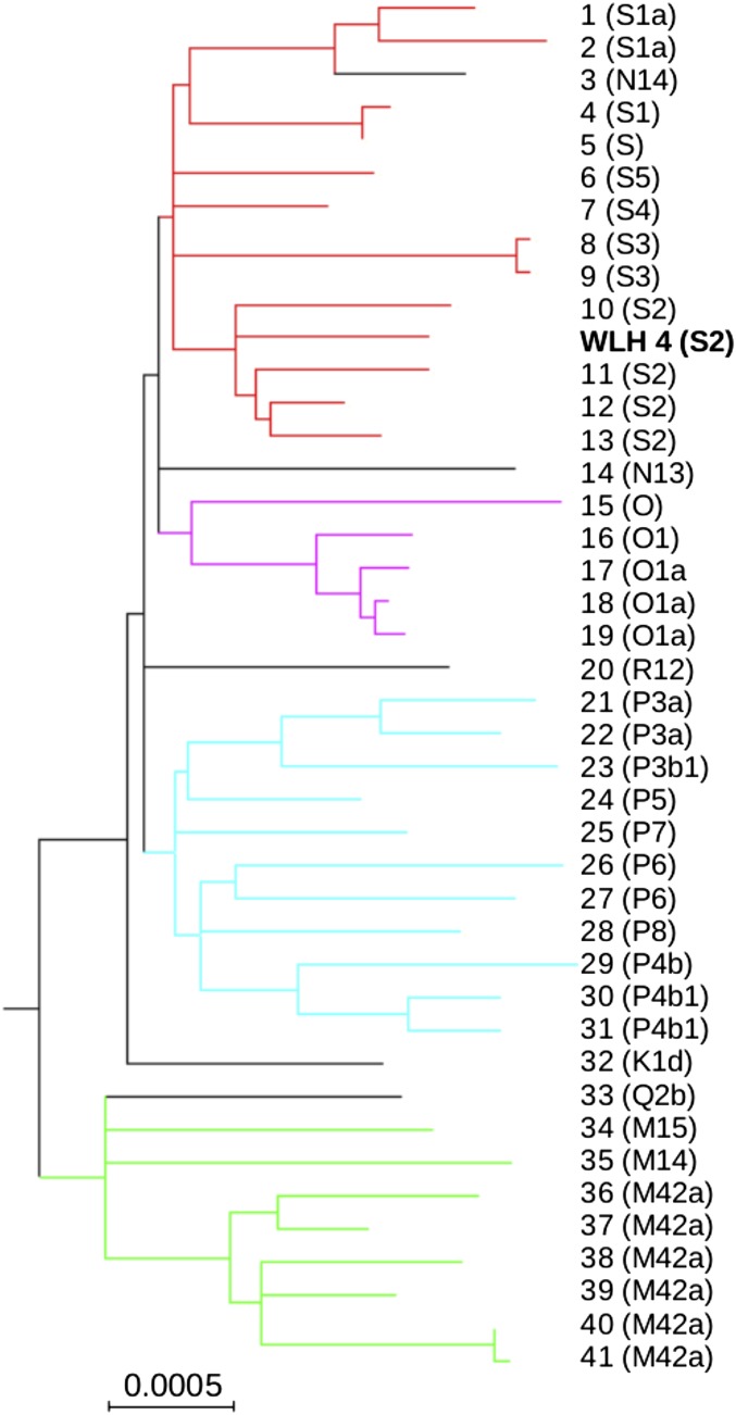 Fig. 3.