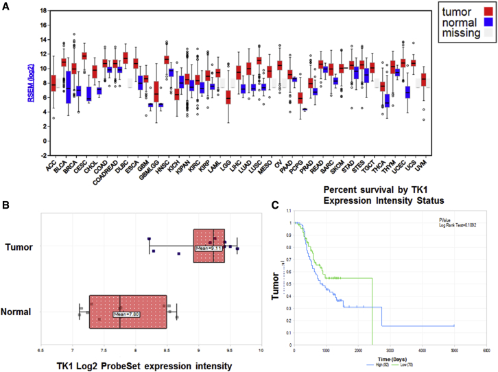 Figure 1