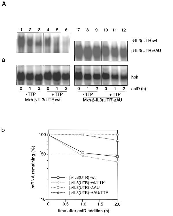 FIG. 5