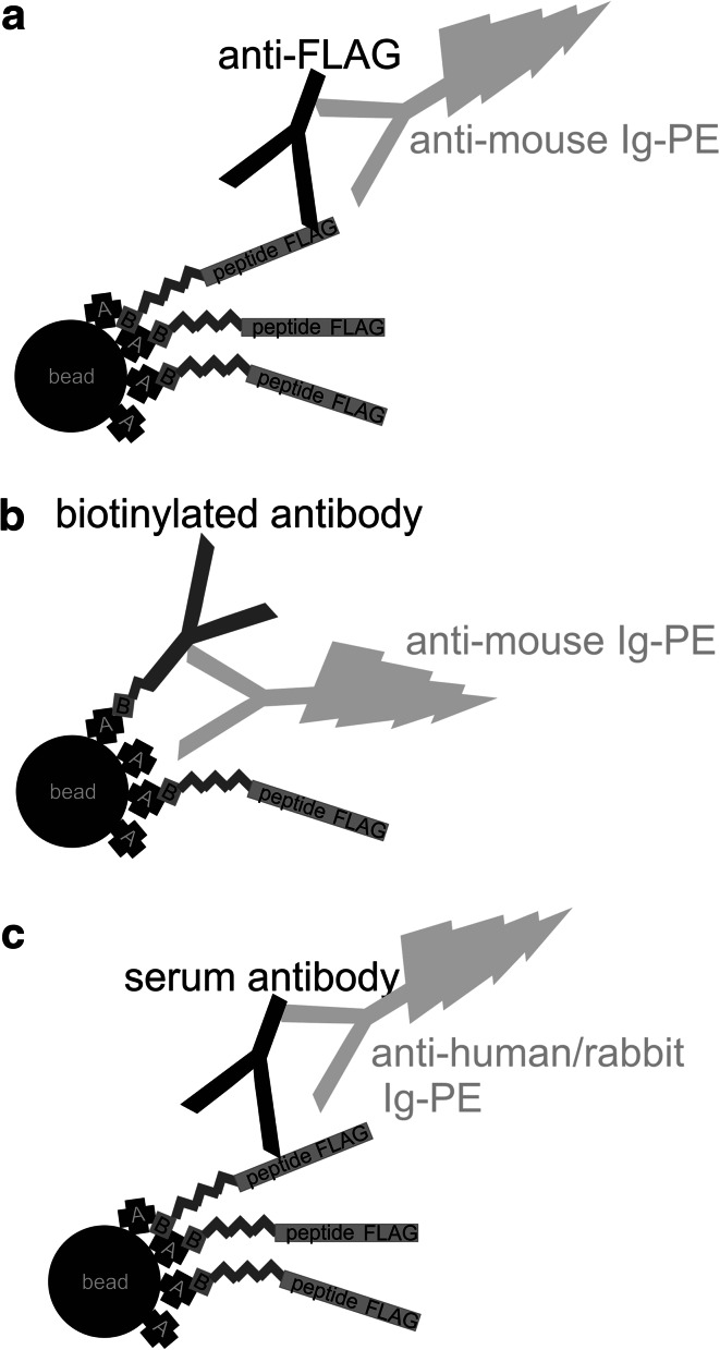 Fig. 1