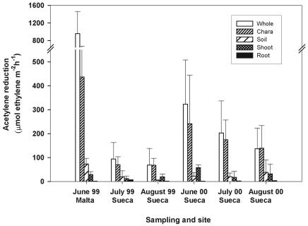 FIG. 1.