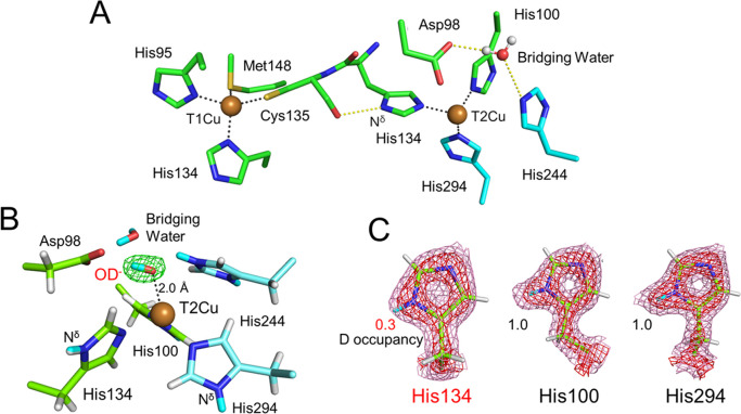 Figure 3 