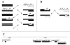 Fig.1