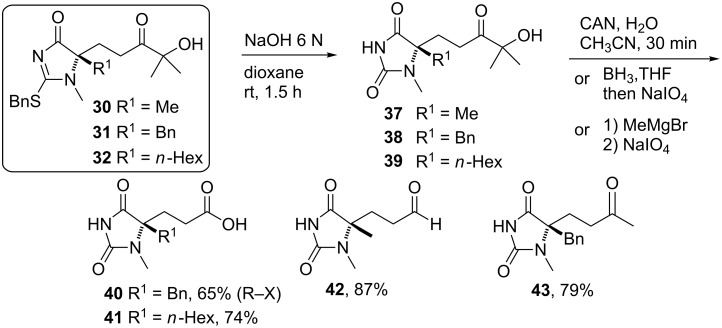 Scheme 6