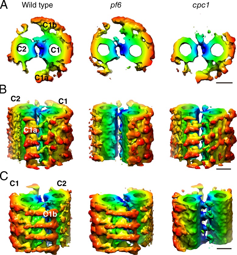 Figure 7.