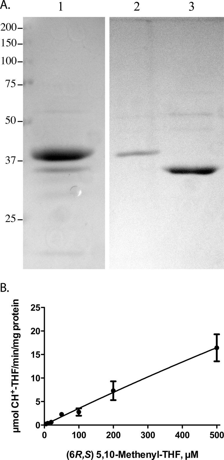 FIGURE 2.