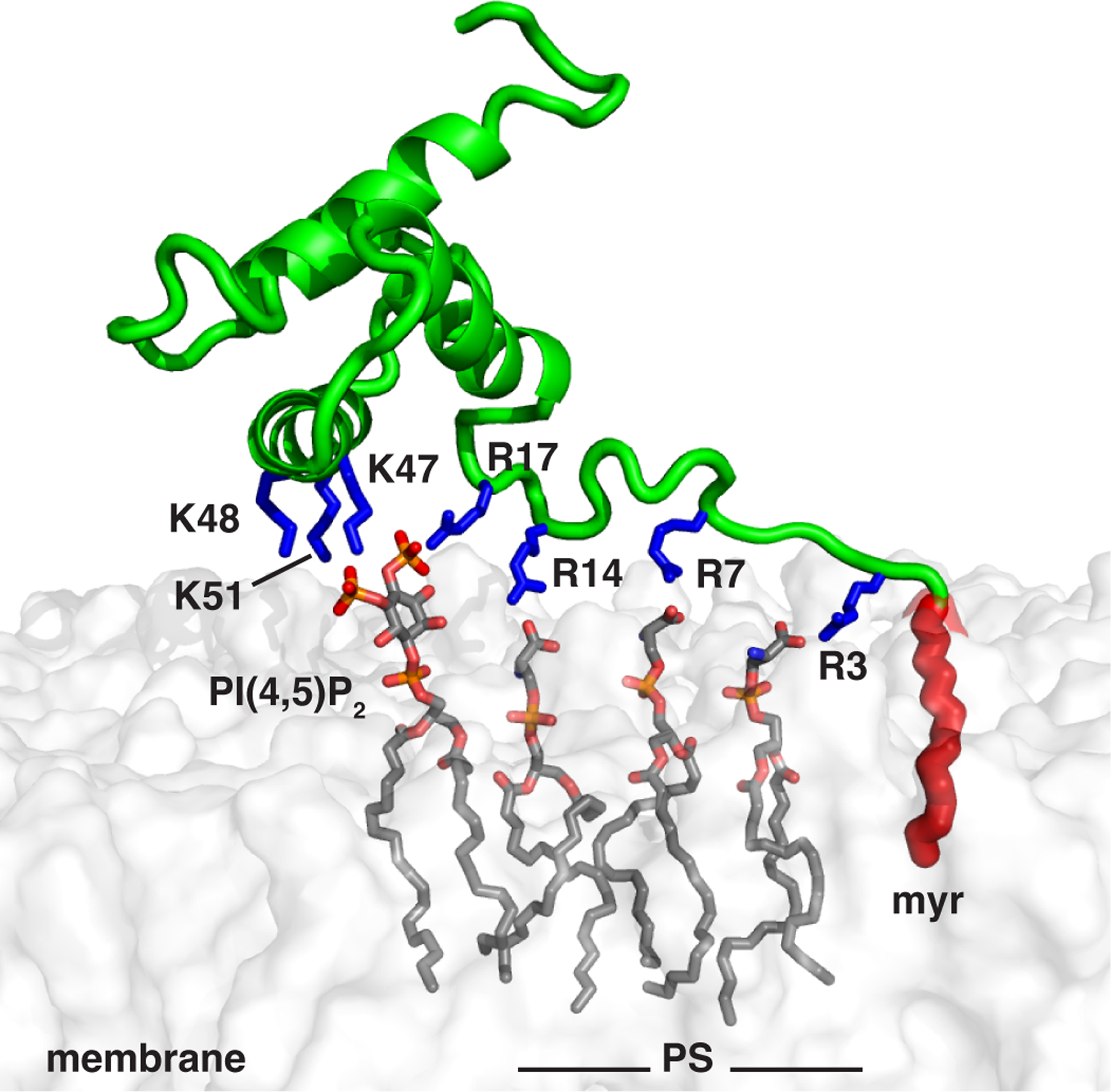 Figure 9.