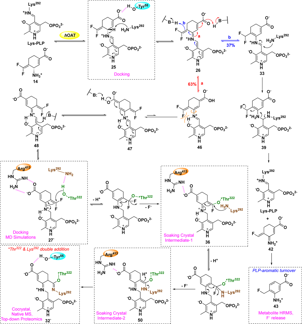 Scheme 6.