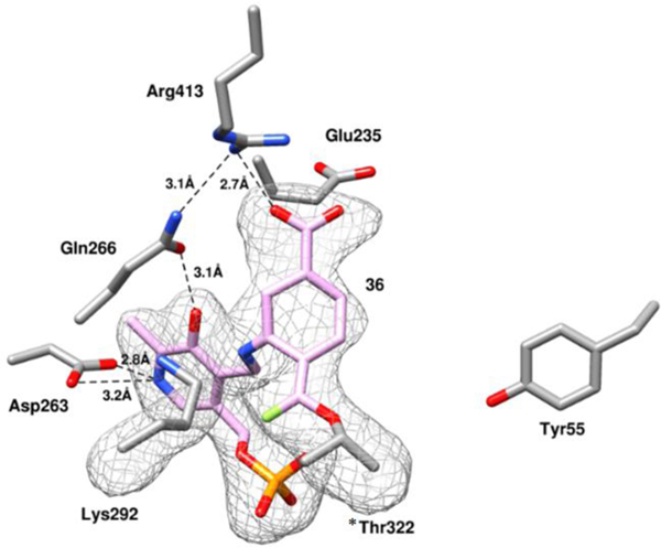 Figure 6.