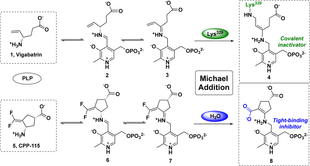 Scheme 2.