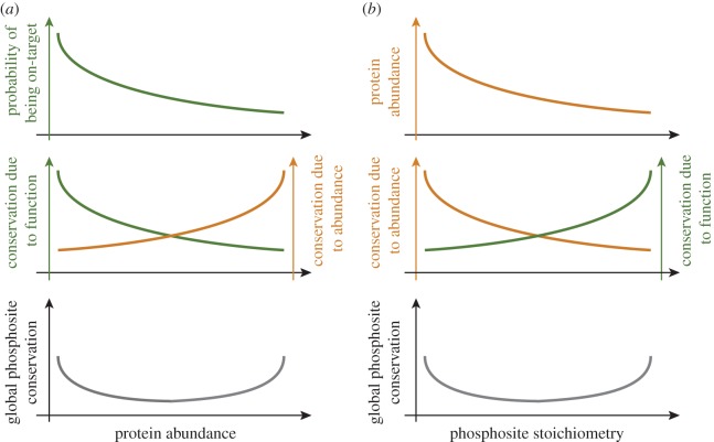 Figure 7.