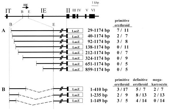 FIG. 5