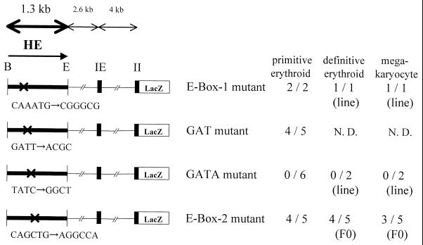 FIG. 6