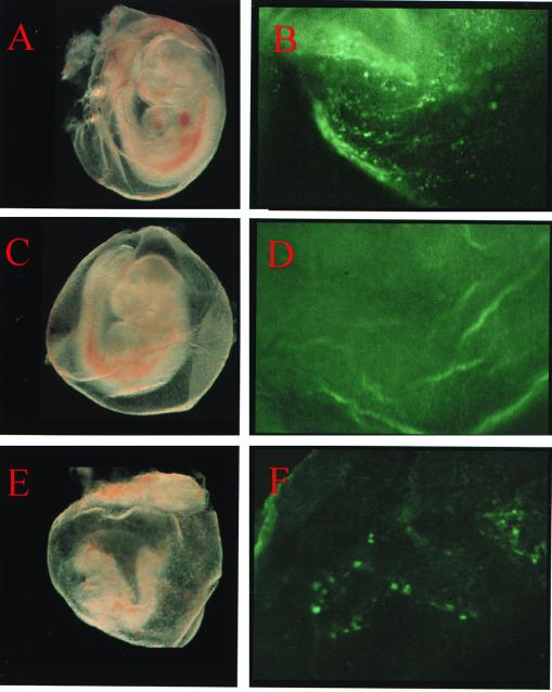 FIG. 8